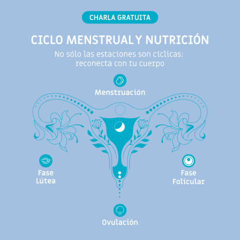 Ciclo menstrual y nutrición